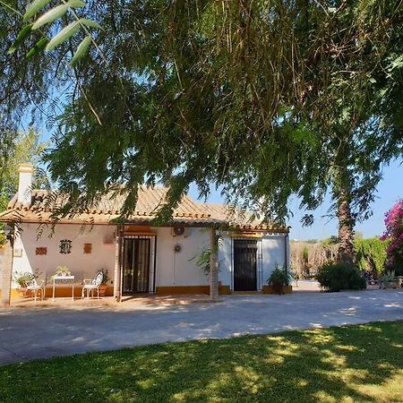 Finca El Romero, Finca A 15 Minutos De Sevilla Alcala del Rio Zewnętrze zdjęcie