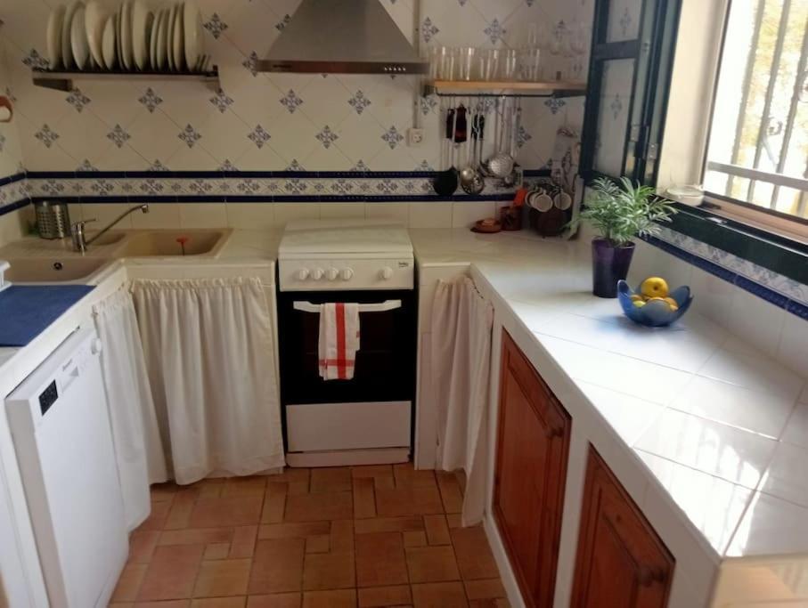 Finca El Romero, Finca A 15 Minutos De Sevilla Alcala del Rio Zewnętrze zdjęcie