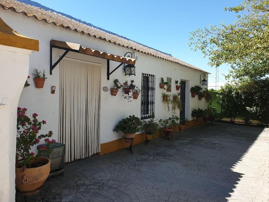 Finca El Romero, Finca A 15 Minutos De Sevilla Alcala del Rio Zewnętrze zdjęcie