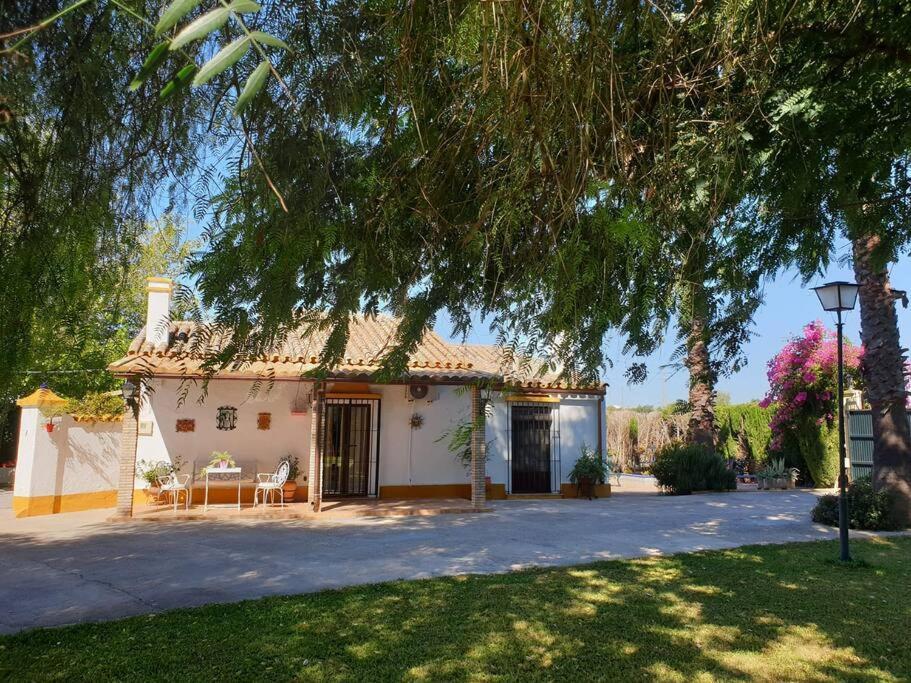 Finca El Romero, Finca A 15 Minutos De Sevilla Alcala del Rio Zewnętrze zdjęcie