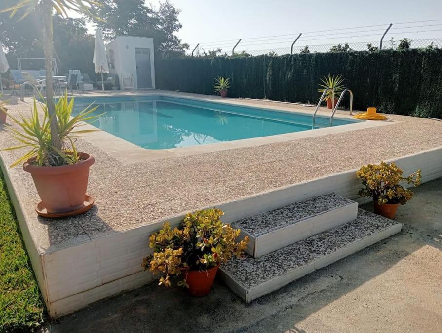 Finca El Romero, Finca A 15 Minutos De Sevilla Alcala del Rio Zewnętrze zdjęcie